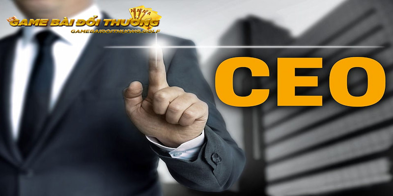 Niềm đam mê bất tận của ông trong lĩnh vực giải trí trực tuyến