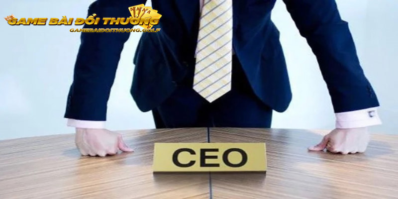 Tìm hiểu về những tiểu sử cơ bản của vị CEO Fin Drew tài ba