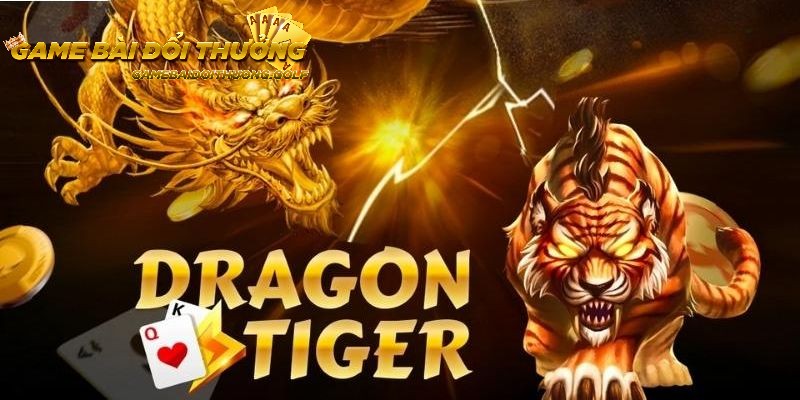 Hội viên cần nắm rõ cách chơi trước khi bước vào ván cược Dragon Tiger